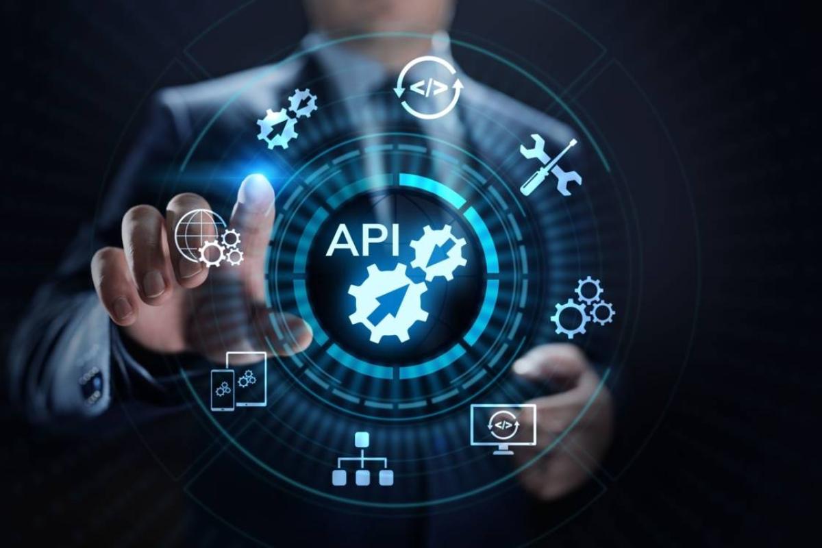 Building a Full-Stack App with the TALL Stack